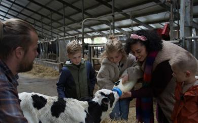 Dierenkriebels_SE3AFL03