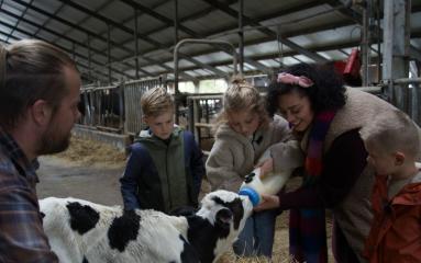 Dierenkriebels_SE3AFL03